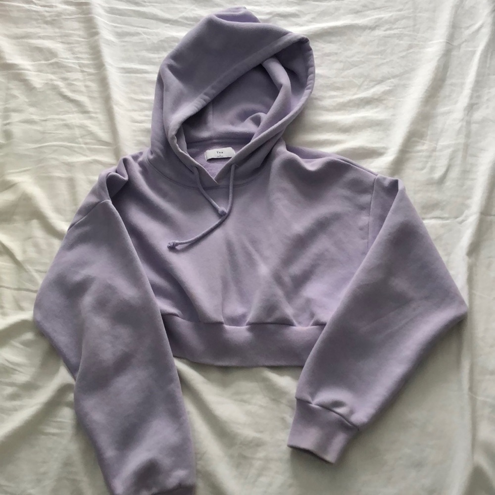 Aritzia Lavender Cropped Hoodie